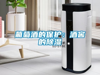 行業新聞葡萄酒的保護：酒窖的除濕