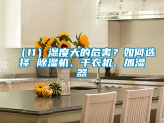 企業(yè)新聞（11）濕度大的危害？如何選擇 除濕機、干衣機、加濕器