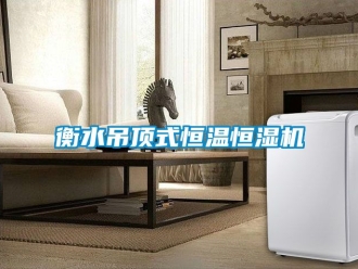 知識百科衡水吊頂式恒溫恒濕機