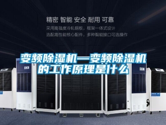 企業新聞變頻除濕機—變頻除濕機的工作原理是什么