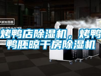 行業(yè)新聞烤鴨店除濕機，烤鴨鴨胚晾干房除濕機