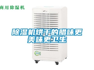 常見問題除濕機烘干的臘味更美味更衛生