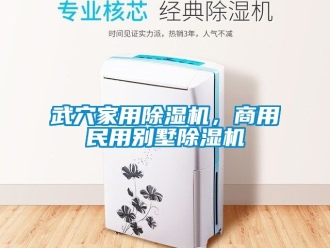 常見問題武穴家用除濕機，商用民用別墅除濕機