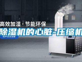 常見問題除濕機的心臟-壓縮機
