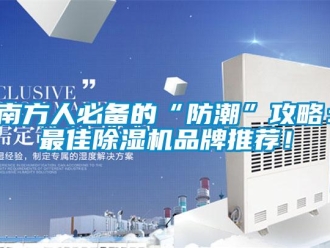 企業新聞南方人必備的“防潮”攻略：最佳除濕機品牌推薦！