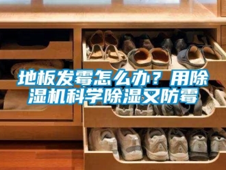 行業(yè)新聞地板發(fā)霉怎么辦？用除濕機(jī)科學(xué)除濕又防霉