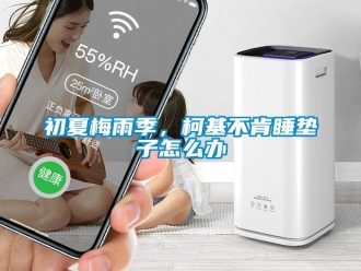 常見(jiàn)問(wèn)題初夏梅雨季，柯基不肯睡墊子怎么辦