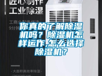 常見問題你真的了解除濕機嗎？除濕機怎樣運作,怎么選擇除濕機？