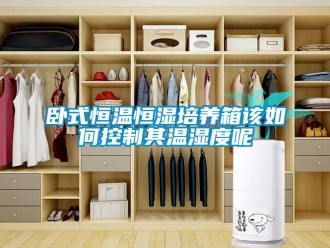知識百科臥式恒溫恒濕培養箱該如何控制其溫濕度呢