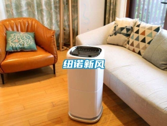 企業(yè)新聞紐諾新風(fēng)