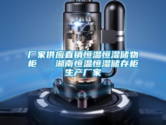 知識(shí)百科廠家供應(yīng)直銷恒溫恒濕儲(chǔ)物柜   湖南恒溫恒濕儲(chǔ)存柜生產(chǎn)廠家
