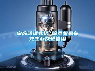 行業新聞家庭除濕妙招 除濕機最有效生石灰也管用