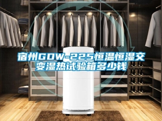 知識(shí)百科宿州GDW-225恒溫恒濕交變濕熱試驗(yàn)箱多少錢(qián)