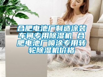 常見(jiàn)問(wèn)題合肥電池廠制造涂裝車(chē)間專(zhuān)用除濕機(jī) 合肥電池廠噴涂專(zhuān)用轉(zhuǎn)輪除濕機(jī)價(jià)格