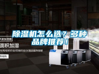 企業(yè)新聞除濕機怎么選？多種品牌推薦！