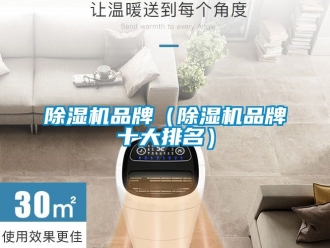 企業新聞除濕機品牌（除濕機品牌十大排名）