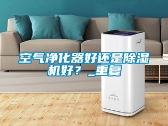 行業新聞空氣凈化器好還是除濕機好？_重復