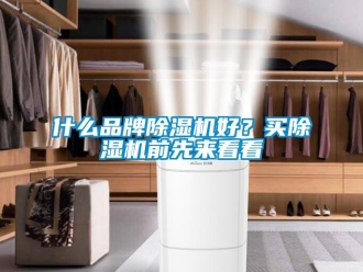 知識百科什么品牌除濕機好？買除濕機前先來看看
