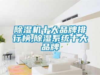 企業新聞除濕機十大品牌排行榜,除濕系統十大品牌