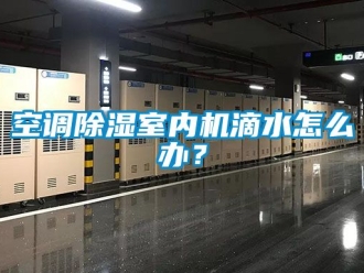 行業(yè)新聞空調(diào)除濕室內(nèi)機滴水怎么辦？
