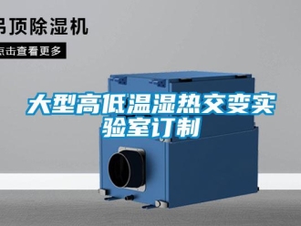 常見問題大型高低溫濕熱交變實驗室訂制