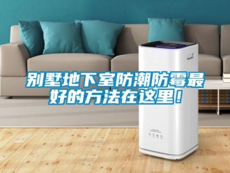 企業新聞別墅地下室防潮防霉最好的方法在這里！