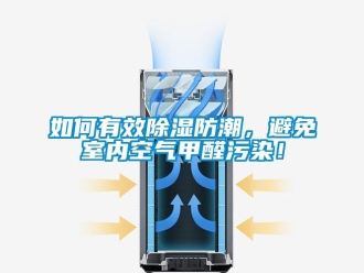 常見問題如何有效除濕防潮，避免室內(nèi)空氣甲醛污染！