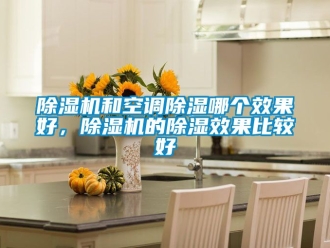 行業(yè)新聞除濕機(jī)和空調(diào)除濕哪個效果好，除濕機(jī)的除濕效果比較好