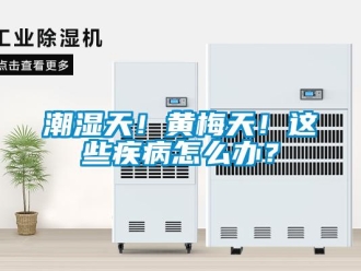 常見(jiàn)問(wèn)題潮濕天！黃梅天！這些疾病怎么辦？