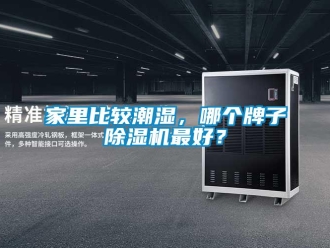 行業(yè)新聞家里比較潮濕，哪個牌子除濕機最好？