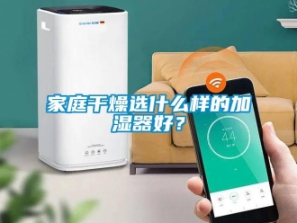 行業新聞家庭干燥選什么樣的加濕器好？