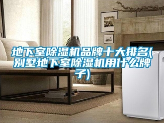 企業新聞地下室除濕機品牌十大排名(別墅地下室除濕機用什么牌子)