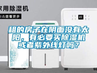 行業新聞租的房子在陰面沒有太陽，有必要買除濕機或者紫外線燈嗎？
