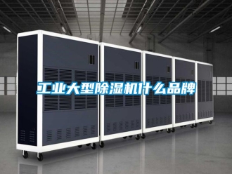 常見問題工業大型除濕機什么品牌