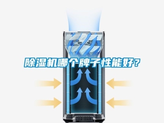 行業新聞除濕機哪個牌子性能好？
