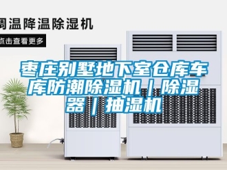 企業新聞棗莊別墅地下室倉庫車庫防潮除濕機｜除濕器｜抽濕機