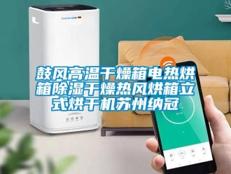 行業新聞鼓風高溫干燥箱電熱烘箱除濕干燥熱風烘箱立式烘干機蘇州納冠