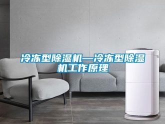 行業新聞冷凍型除濕機—冷凍型除濕機工作原理