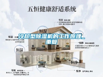 行業新聞冷卻型除濕機的工作原理_重復