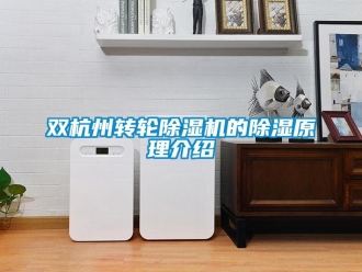常見問題雙杭州轉(zhuǎn)輪除濕機(jī)的除濕原理介紹