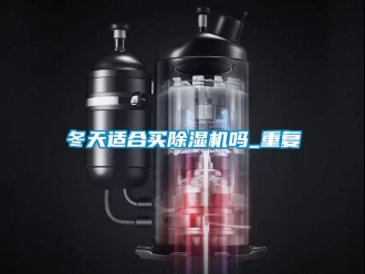 行業新聞冬天適合買除濕機嗎_重復