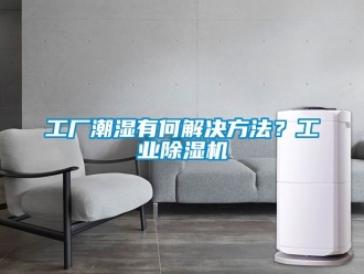 常見問題工廠潮濕有何解決方法？工業(yè)除濕機(jī)