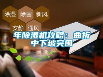 行業新聞年除濕機攻略：曲折中下坡突圍