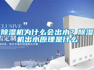 企業(yè)新聞除濕機(jī)為什么會(huì)出水？除濕機(jī)出水原理是什么