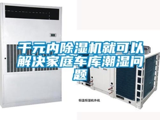 常見(jiàn)問(wèn)題千元內(nèi)除濕機(jī)就可以解決家庭車(chē)庫(kù)潮濕問(wèn)題