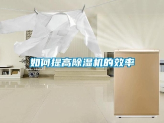 常見問題如何提高除濕機的效率