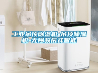 常見問題工業吊頂除濕機-吊頂除濕機-無錫駿辰祥智能