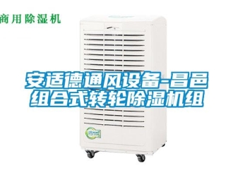 常見問題安適德通風設備-昌邑組合式轉輪除濕機組