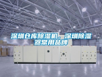 企業(yè)新聞深圳倉庫除濕機(jī)，深圳除濕器常用品牌