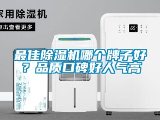行業(yè)新聞最佳除濕機哪個牌子好？品質(zhì)口碑好人氣高